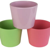 Obal 811 primule mix 3 barvy lesk 11 cm