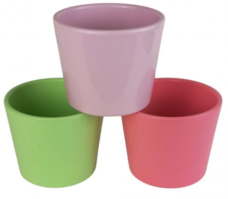 Obal 811 primule mix 3 barvy lesk 10 cm