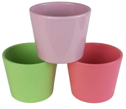 Obal 811 primule mix 3 barvy lesk 10 cm - Obrázek 1