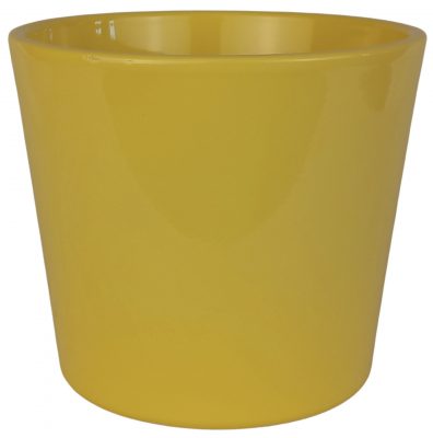 Obal 811 primule Zitro glanz lesk 13 cm