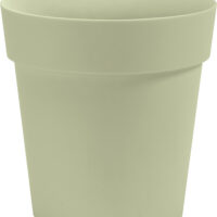 Obal Arke - šalvějový 18 cm