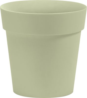 Obal Arke - šalvějový 18 cm