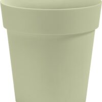 Obal Arke - šalvějový 30 cm