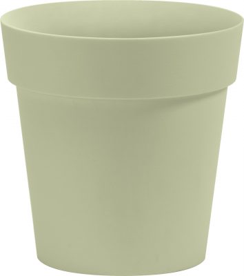 Obal Arke - šalvějový 30 cm