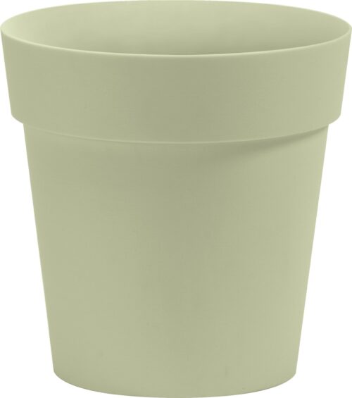 Obal Arke - šalvějový 30 cm - Obrázek 1