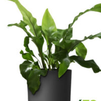 Obal Lora - antracit 18 cm