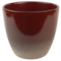 Obal 920 Scarlet lesk 14