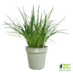 Květináč Green Basics - stone green 27 cm