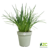 Květináč Green Basics - stone green 19 cm