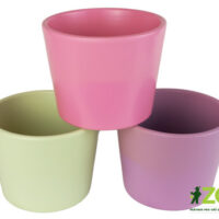 Obal 811 primule mix 3 barvy mat 10 cm
