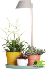 Lampa pro květiny Plant Light Care - glacier grey 25x47 cm
