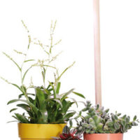 Lampa pro květiny Plant Light Care - glacier grey 25x47 cm