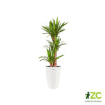 Obal Brussels Diamond High - white 40 cm