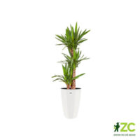 Obal Brussels Diamond High - white 40 cm