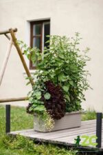 Truhlík samozavlažovací Berberis Trio - taupe 117 cm