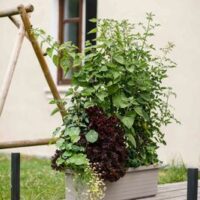 Truhlík samozavlažovací Berberis Trio - taupe 117 cm
