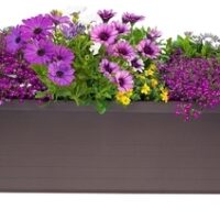 Truhlík samozavlažovací Berberis Trio - čokoládový 117 cm