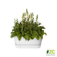 Truhlík Greenville Terrace - white 80 cm