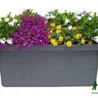 Truhlík samozavlažovací Berberis Duo - antracit 80 cm