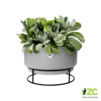 Obal B.For Studio Bowl - living concrete 30 cm