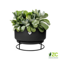 Obal B.For Studio Bowl - living black 30 cm