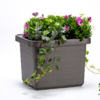 Truhlík samozavlažovací Berberis Uno - antracit 45 cm