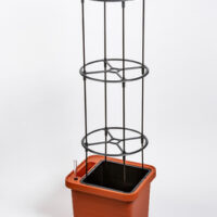 Opora pro pěstování - Berberis UNO + DUO + TRIO černý recyklát