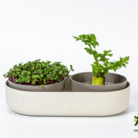 Klíčící miska MICROGREENS + Regrow - slonová kost s kávovou sedlinou