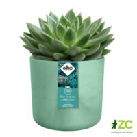Obal The Ocean collection round - pacific green 22 cm