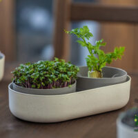Klíčící miska MICROGREENS + Regrow - slonová kost