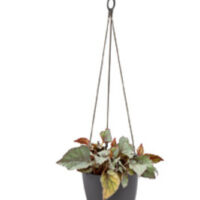 Obal Brussels Hanging Basket - antracit 18 cm