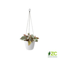 Obal Brussels Hanging Basket - white 18 cm