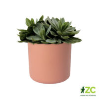 Obal B.For Soft Round - delicate pink 14 cm