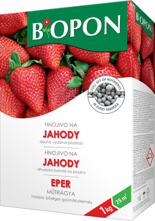 Bopon - jahody 1 kg BROS - Obrázek 1