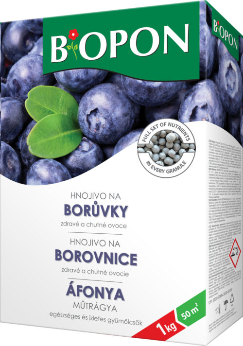 Bopon - borůvky 1 kg BROS - Obrázek 1
