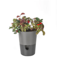 Květináč Rosmarin - antracit světlý + tmavý 11 cm
