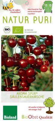 Višeň sloupovitá 'AROMA SPUR'®-samosprašná