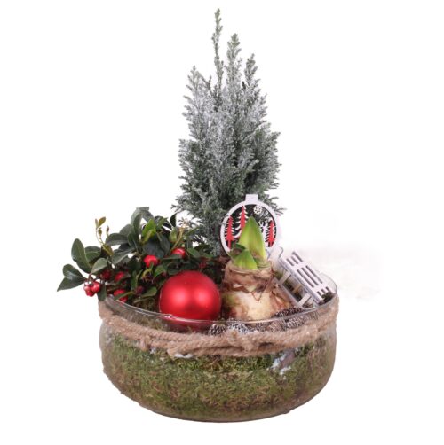 Dekorace-sklo,stromek,amarylka - Image 1