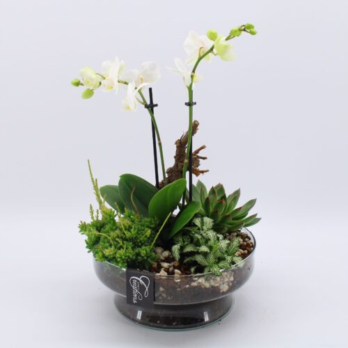 Dekorace-sklo,orchidej - Obrázek 1