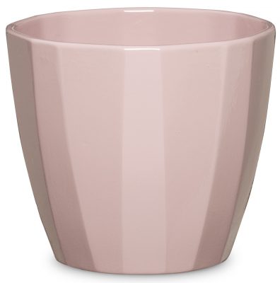 Obal 939 Rose Elegance lesk 15