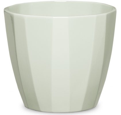 Obal 939 Green Elegance lesk 15