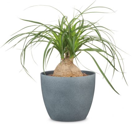 Obal 920 Dark Stone mat 25