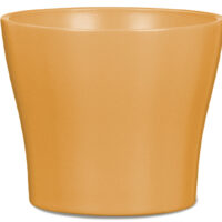 Obal 808 Curcuma mat 11