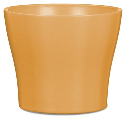 Obal 808 Curcuma mat 11