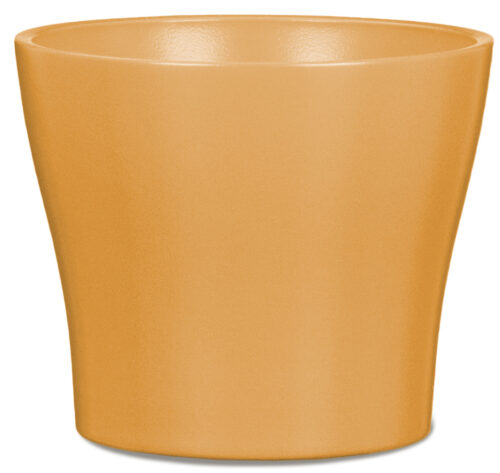 Obal 808 Curcuma mat 11 - Obrázek 1