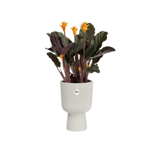 Obal Vibes Fold Coupe - silky white 14 cm - Obrázek 2