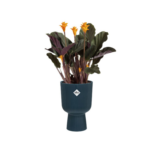 Obal Vibes Fold Coupe - deep blue 14 cm - Obrázek 2