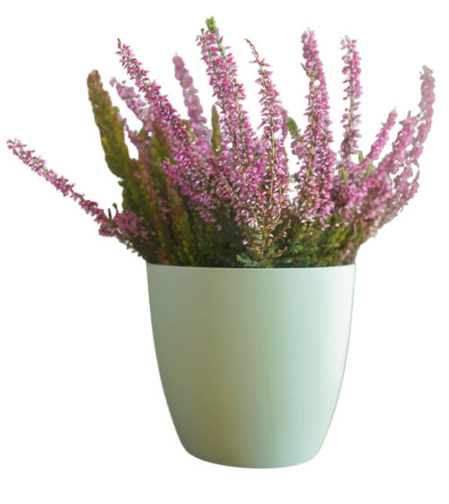 Obal Ella - matná pistáciová 15 cm - Obrázek 2