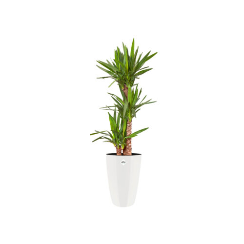 Obal Brussels Diamond High - white 40 cm - Obrázek 2
