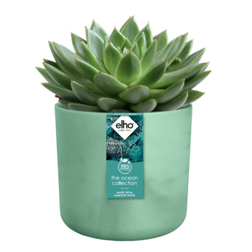 Obal The Ocean collection round - pacific green 22 cm - Obrázek 2